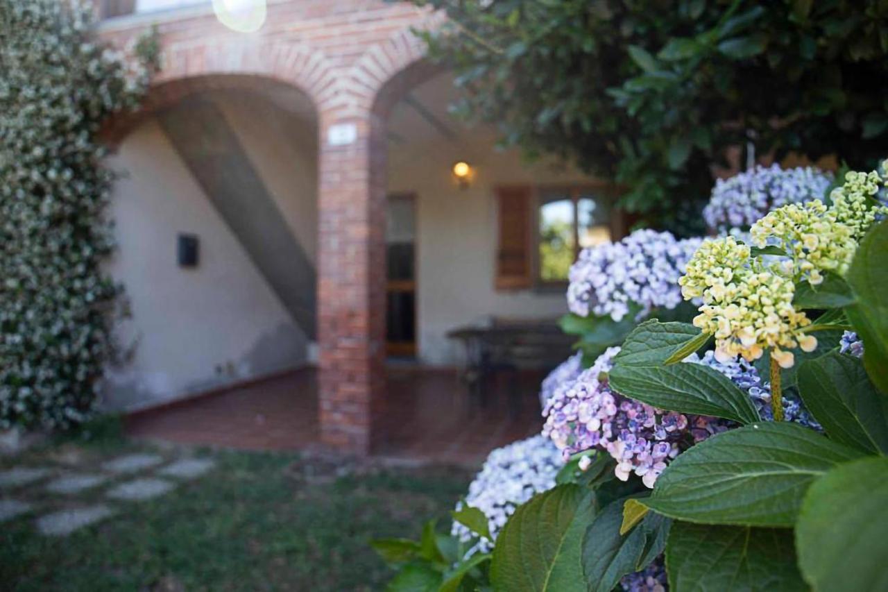Le Ortensie - Holiday Country House Pisano Ngoại thất bức ảnh